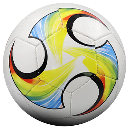 Size 5 Professional Soccer Ball